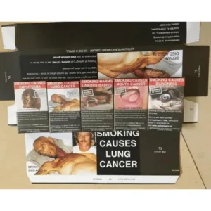 TS Cobalt Blue — Premium Smooth Selection (1 Carton) | Buy 5 Get 1 Free | Fast Sydney Dispatch